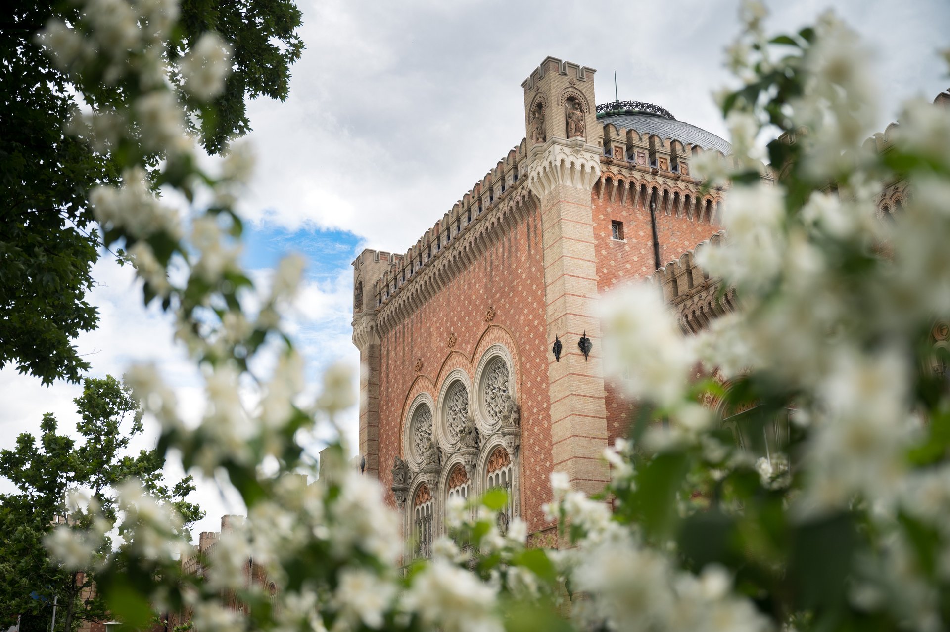 Durch Zweige voller blühender Blüten im Frühling hindurch blickt man auf die Seitenansicht des Heeresgeschichtlichen Museums. Deutlich sichtbar ist die ziegelrote Fassade mit den Fensterrosen, die mit unterschiedlichen Statuen geschmückt sind. Auch das Kuppeldach ist zu erkennen. Der Himmel ist blau und mit Wolken bedeckt.